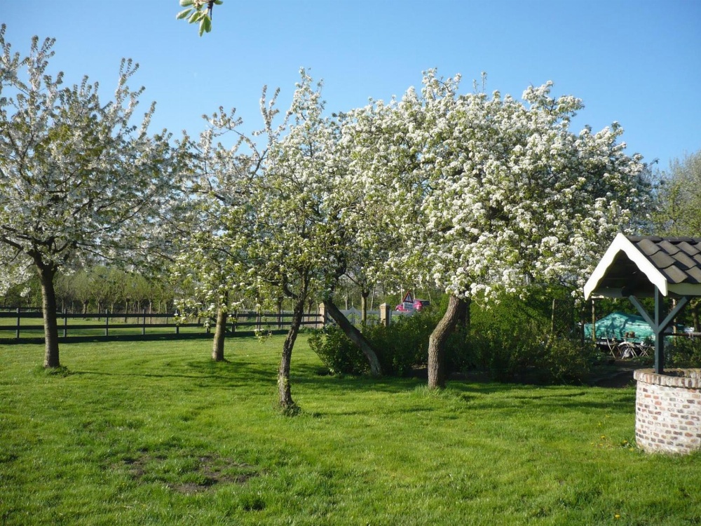 Shepherds House B&B